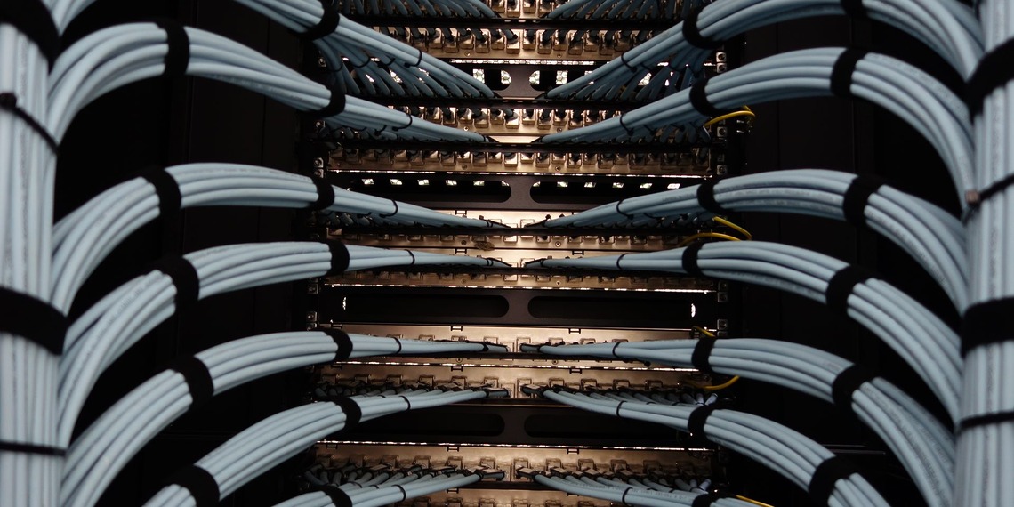 Organized network server cables for efficient data management.