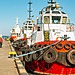 Red and white tugboats docked in a harbor.