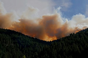 Smoke plume from the wildfire rising in the air.