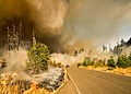A white pick-up truck drives through a forest fire in Lowell, USA.