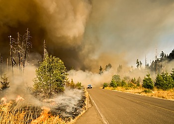 A white pick-up truck drives through a forest fire in Lowell, USA.