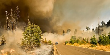 A white pick-up truck drives through a forest fire in Lowell, USA.