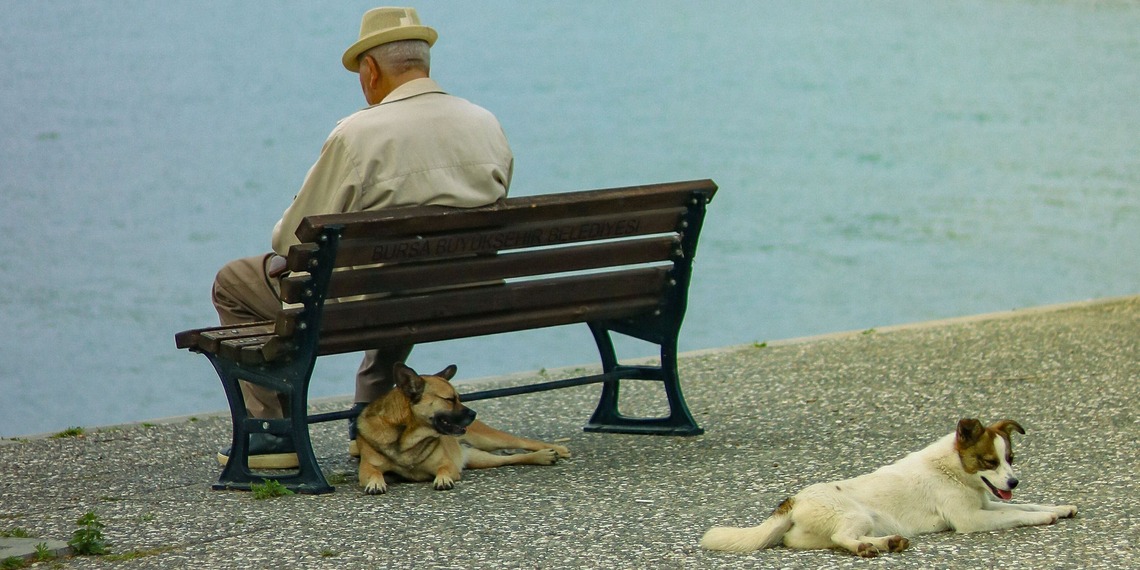 Elderly man and his dogs sitting by a lake.