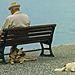 Elderly man and his dogs sitting by a lake.