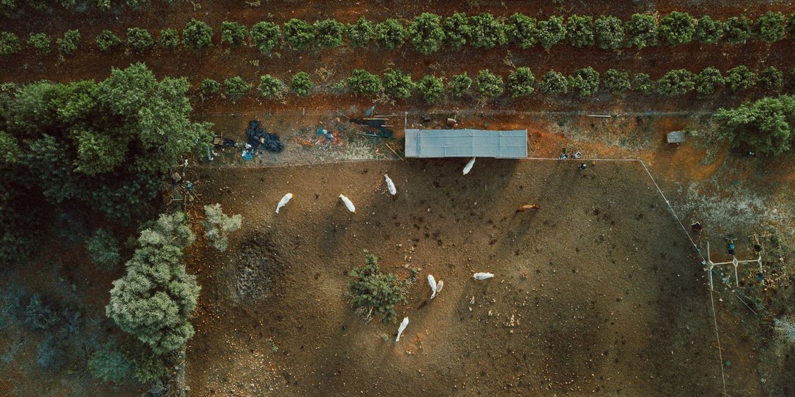 aerial view of a farm