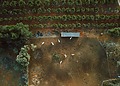 aerial view of a farm