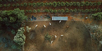 aerial view of a farm
