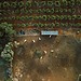 aerial view of a farm