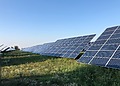Solar panels in a green field under a clear blue sky in Tortona, Italy.