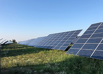Solar panels in a green field under a clear blue sky in Tortona, Italy.