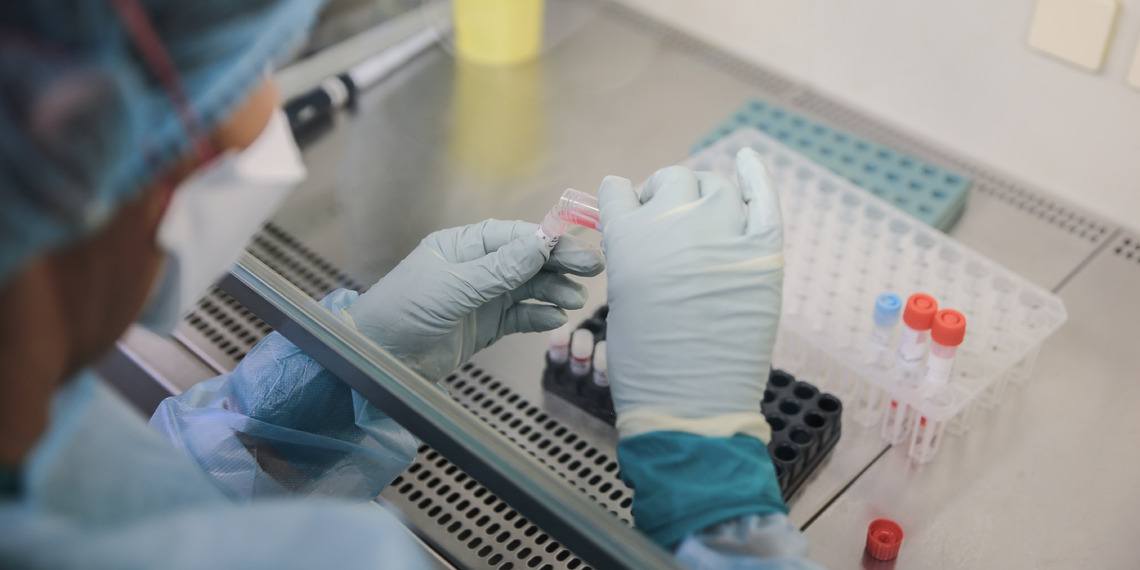 Laboratory technician mixes the samples with stocks inside the biosafety cabinets