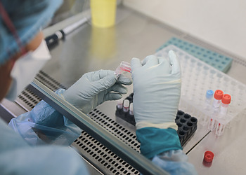Laboratory technician mixes the samples with stocks inside the biosafety cabinets
