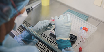 Laboratory technician mixes the samples with stocks inside the biosafety cabinets