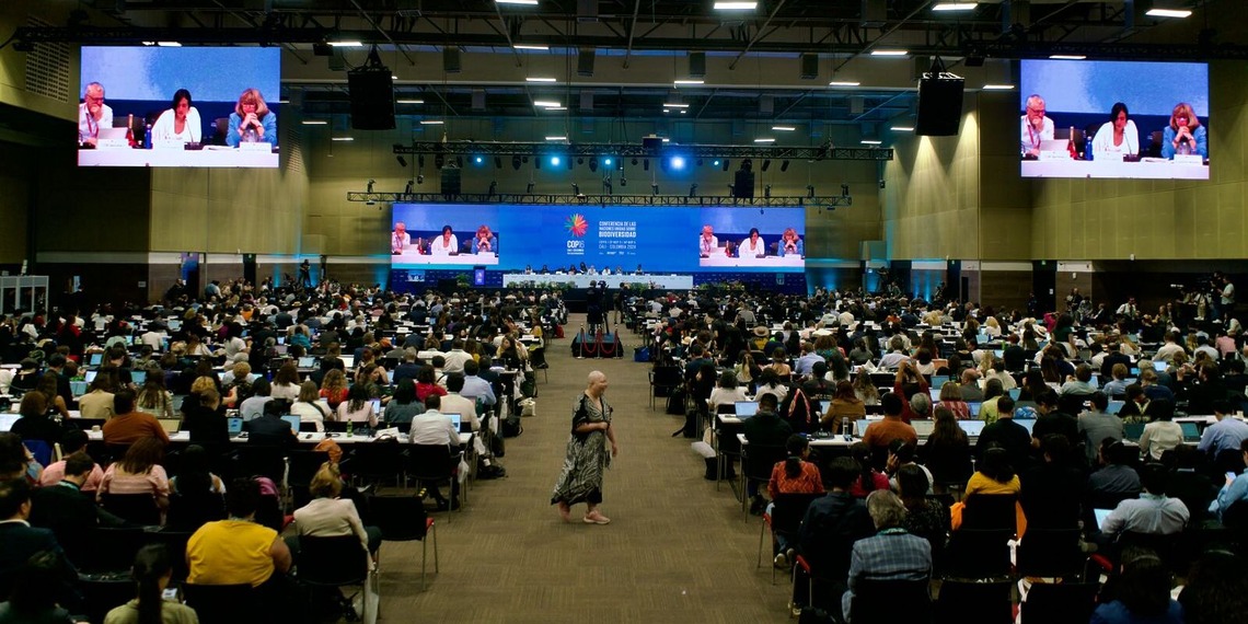 Plenary session at COP 16 in Cali, Colombia