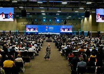 Plenary session at COP 16 in Cali, Colombia
