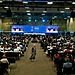 Plenary session at COP 16 in Cali, Colombia