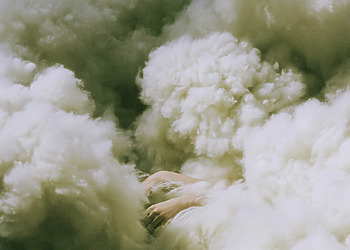 A figure hidden among "clouds" of wool.