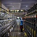 A person stands in between two textile manufacturing machines.