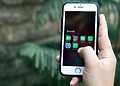 A hand holds a smartphone that displays a folder of social apps, with green leaves blurred behind it.