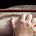An activist scratches the side of a pig loaded inside a transport truck in Buenos Aires, Argentina, 2019.