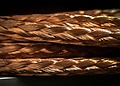 ESG News recap on the expected “bullish” copper demand, Mexico’s renewable deployment, Europe’s wheat exports, and Indonesia stopping gas exports to Singapore.