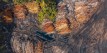 Drone shot capturing deforestation in a tropical environment