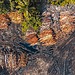 Drone shot capturing deforestation in a tropical environment