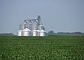 ESG News recap on the EPA’s biofuel regulations, coal demand, California’s EV rebates, and the IMF’s narrow path between reform and relief.