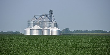 ESG News recap on the EPA’s biofuel regulations, coal demand, California’s EV rebates, and the IMF’s narrow path between reform and relief.